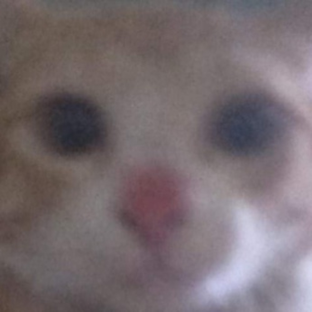 Meet your Posher, Xichi